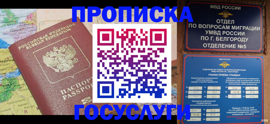 прописка регистрация в Волоколамске